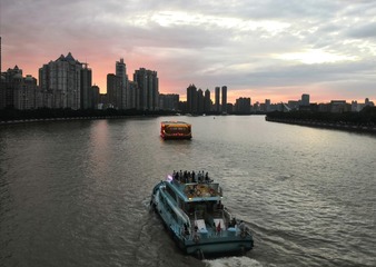161323