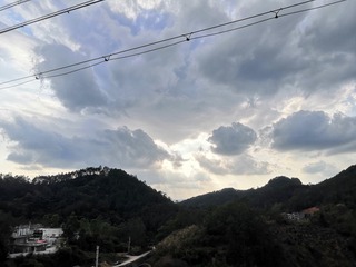 249467