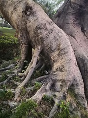 280628