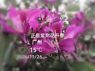 180015