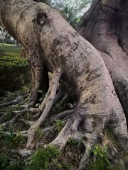 280627