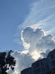 1000002087