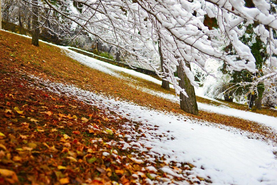 2012第一场雪<br />
