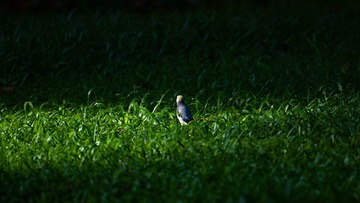 _DSC5742