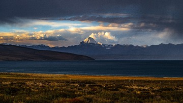 _DSC1231