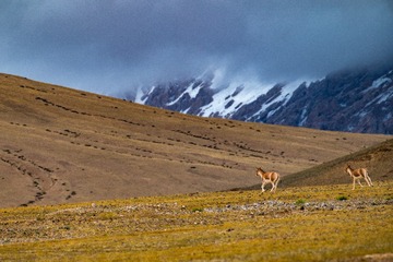_DSC9589