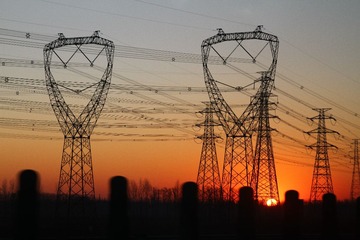 IMG_9784.JPG
