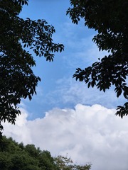 1000371197