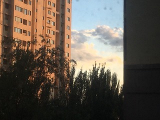 1000001382