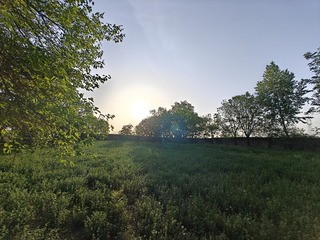 1000018686