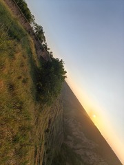 1000020555