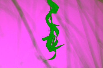 1000002828