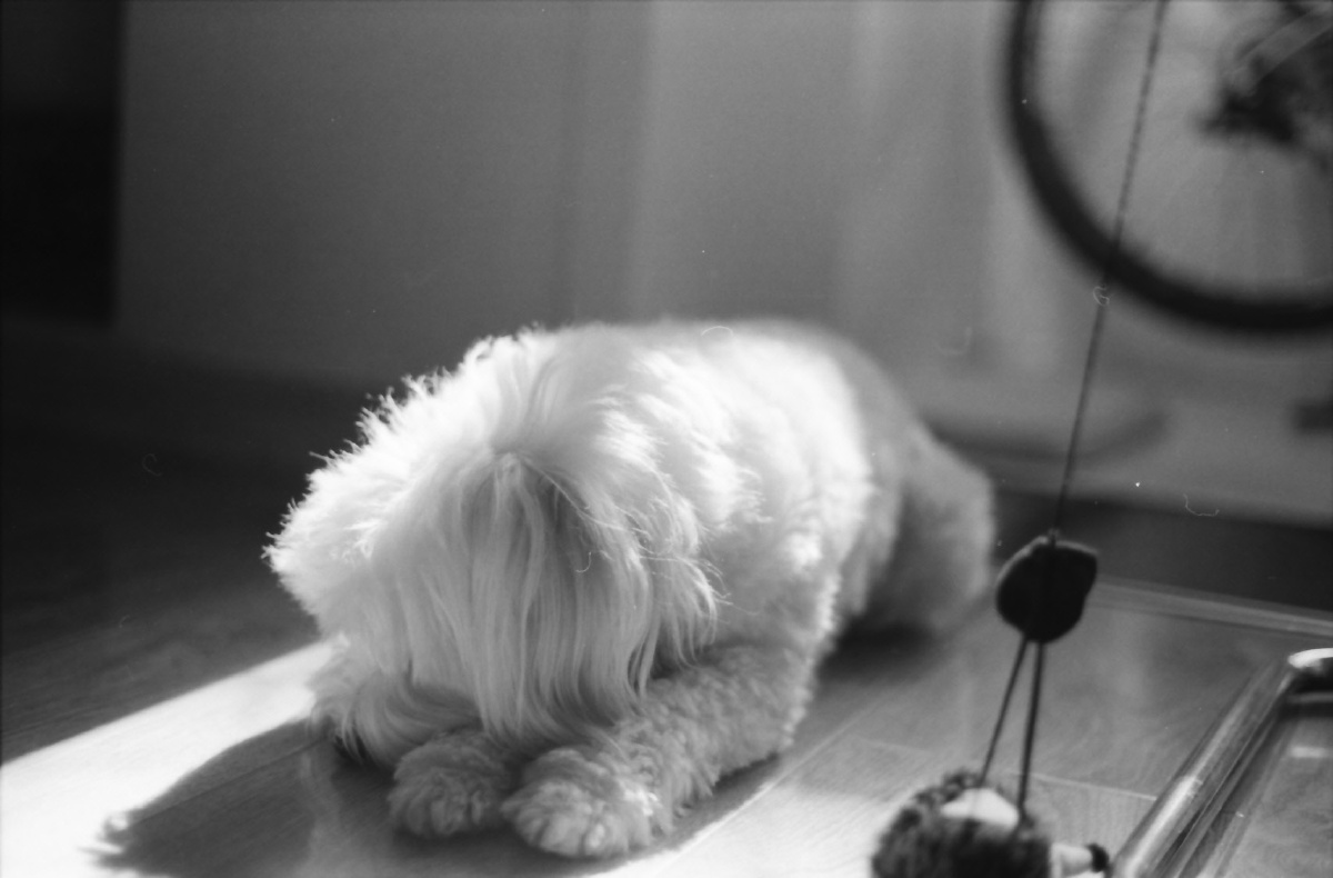 学校召开2019年度国家自然科学基金申报工作布置暨辅导报告会