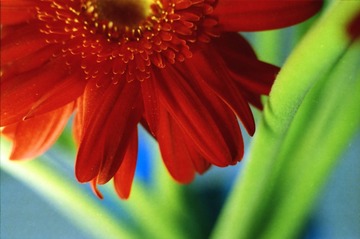 IMG_0012 (2)
