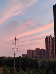 1000107004