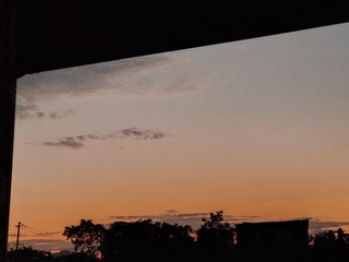 1000106779