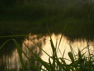 P1170535