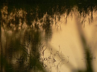 P1170536