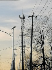 3559644