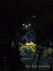1000003114