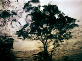 201205043418.jpg