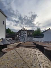 1000024304