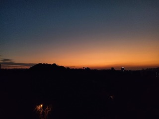 1000016953
