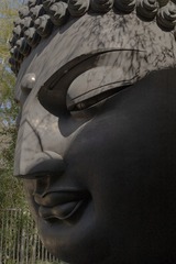 1456276