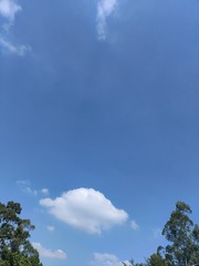 1000016833