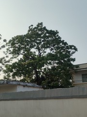 1000018380