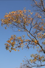 IMG_1665
