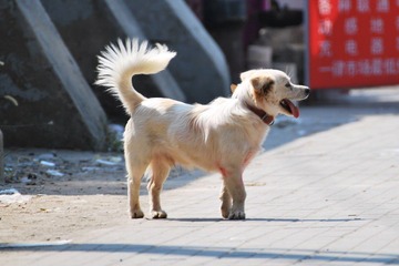 DSC_8200.jpg