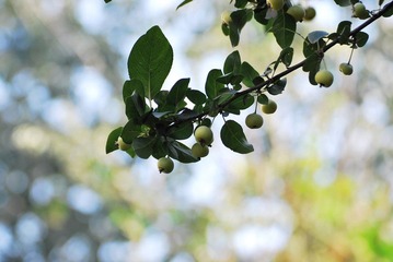DSC_8250.jpg