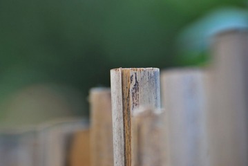 DSC_8254.jpg