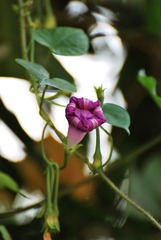 DSC_8276.jpg