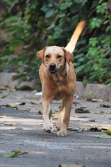 DSC_8277.jpg