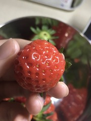1000426520