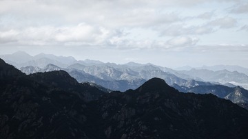 1000044117