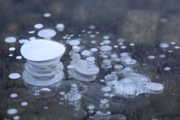 6017