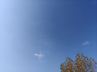 1000019243