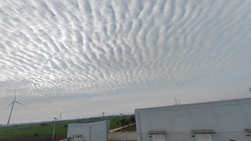1000056529