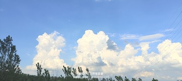 1000052825