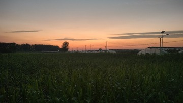 1000004843