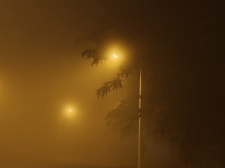 1000265782
