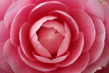 DSC09320_