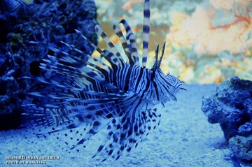 nEO_IMG_DSC9254.jpg