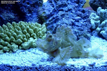 nEO_IMG_DSC9322.jpg