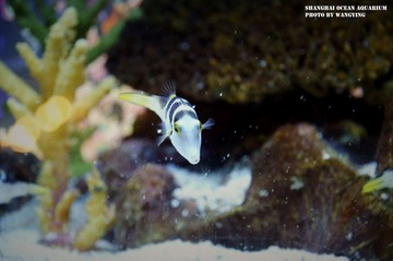 nEO_IMG_DSC9364.jpg