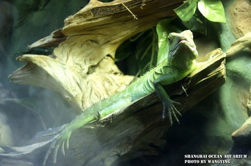 nEO_IMG_DSC9574.jpg