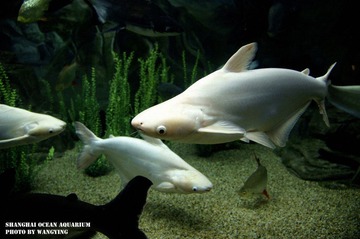 nEO_IMG_DSC9582.jpg